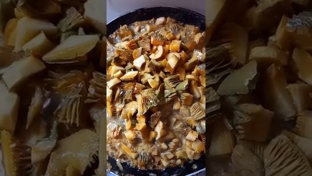 ‼️ЖАРЮ РЫЖИКИ ??? смотреть онлайн