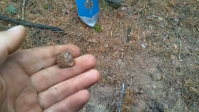 поиск в зимнем лесу смотреть онлайн