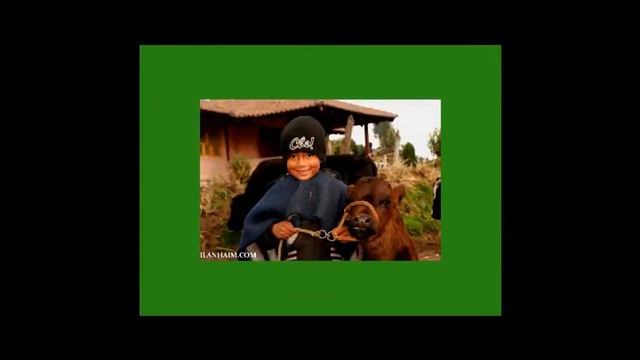 Chimborazo Ecuador and its people! смотреть онлайн