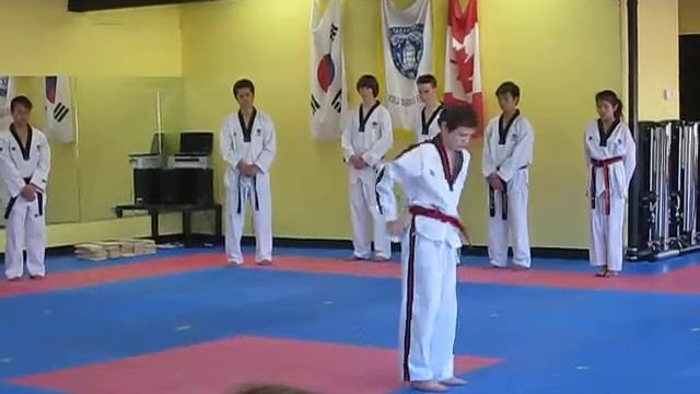 Scott Taekwondo Demo смотреть онлайн