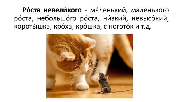 Русский язык. 2 класс. В.П. Канакина. 2 часть, стр. 5 упр. 4 смотреть онлайн