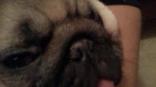 Сладкий сон смотреть онлайн