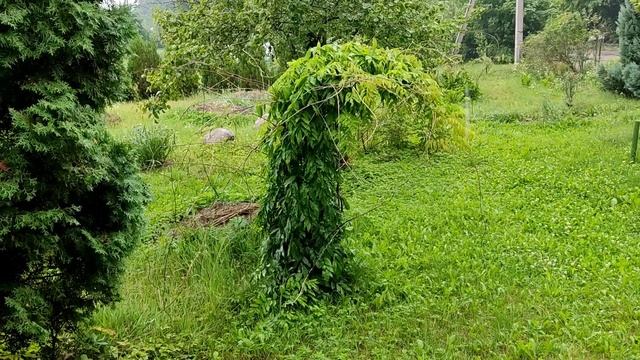 Нашла книги. Вкусная картошка. Затопили печь. смотреть онлайн