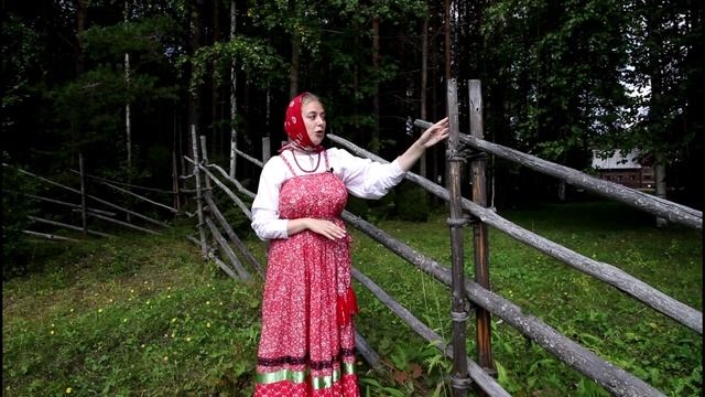 Типы северных изгородей смотреть онлайн