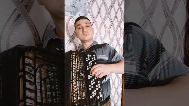 Когда просто захотелось покуражиться #баян #заринск #шатунов смотреть онлайн