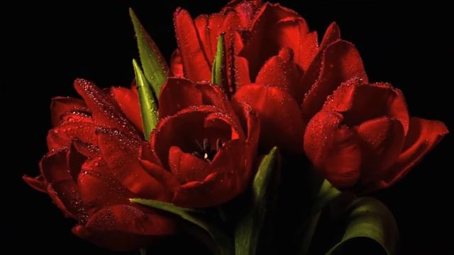 День Рождения-Андрей Серов.Стихи и музыка-Андрей Серов. смотреть онлайн