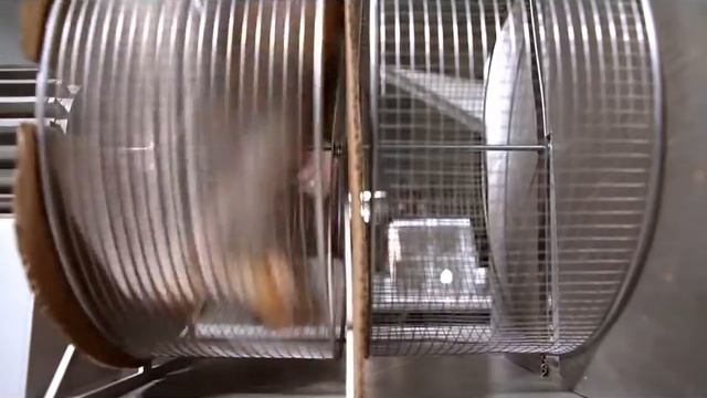 Making-of gauss LED Bulb (Светодиодные лампы gauss) смотреть онлайн