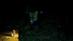 На озере Усмынское