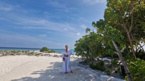 8 кусков парчи.