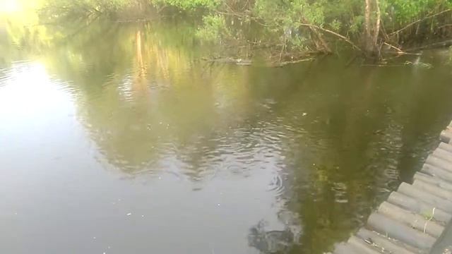 20170611/Уень/Черный Мыс смотреть онлайн