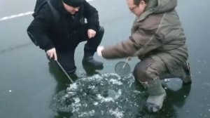 Белая Дача рыбалка щука