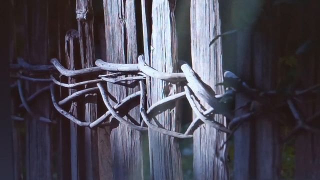 КАК ПРИНОСЯТ БЕДУ С ПЕРЕКРЕСТКА? смотреть онлайн