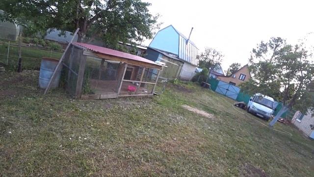 Купил Дачу! Посадил саженцы туи, пузыреплодника, барбариса и ели на даче! смотреть онлайн