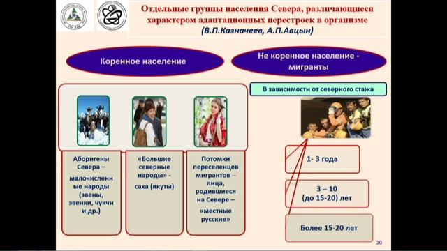 Пресс-конференция. ЯНЦ СО РАН смотреть онлайн