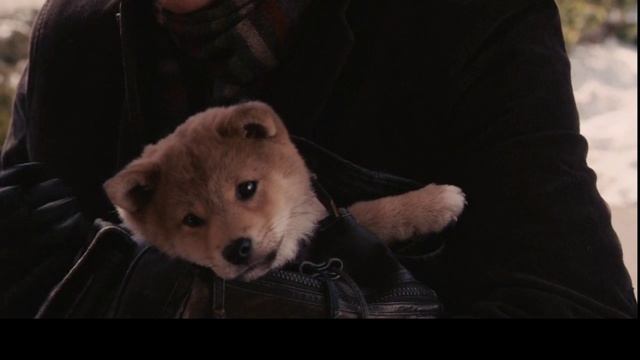 #игра #викторина #УгадайФильм #поКадру смотреть онлайн