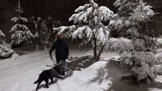 A Heavy Snow Storm Hit Moscow! Incredible Snowfall at the End of March! Almost Christmas Walk смотреть онлайн