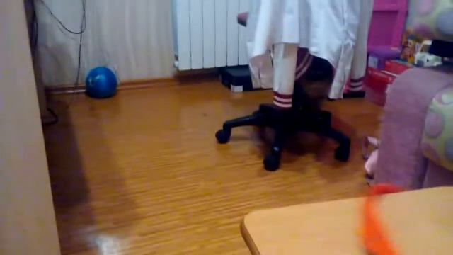 Чокнутая кошка/ играю с Марусей смотреть онлайн