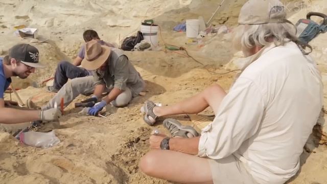 Медицина ДРЕВНИХ поражает УЧЕНЫХ. Похоже Нашу Историю пора ПЕРЕПИСАТЬ смотреть онлайн