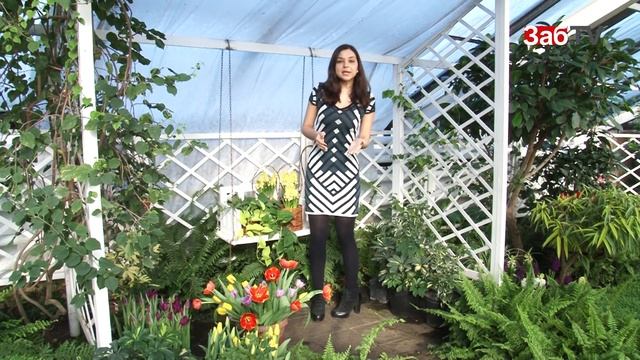 Март «обрадует» читинцев мокрым снегом смотреть онлайн