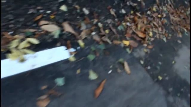 Современные велодорожки в Саратове смотреть онлайн