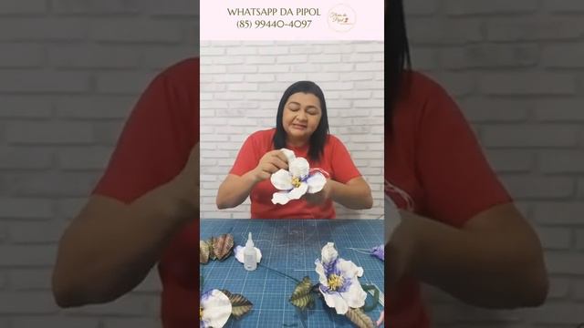 FOLHA LARISSA TRANSFORMADA EM LINDA FLOR - FLORES DA PIPOL смотреть онлайн