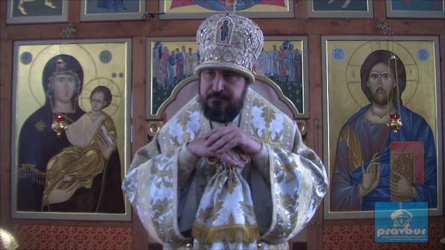 Архиерейская Божественная литургия в 29-ю неделю по Пятидесятнице смотреть онлайн