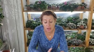 Перлит, вермикулит или пенопластовые шарики. Давайте разберёмся