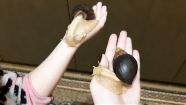 ?НЕОЖИДАННО ПРИЯТНО ? смотреть онлайн