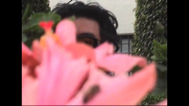 Samba Punk смотреть онлайн