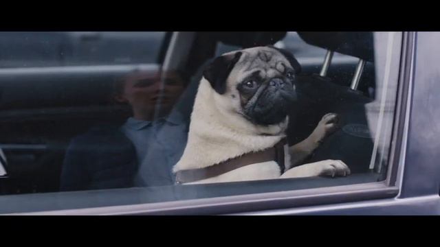 Патрик Комедия 2018 смотреть онлайн