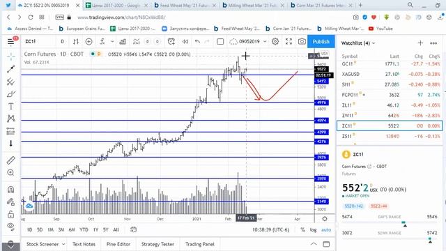 Подсолнечное масло быстро растет и тянет вверх цены на подсолнечник. смотреть онлайн