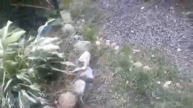 Наука и Открытия в Мире Технологий