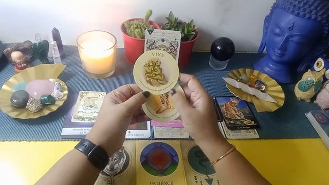 TAURUS NOVEMBER 2023 TAROT PREDICTIONS! #general #timeless #tarot #love #career #spirituality смотреть онлайн