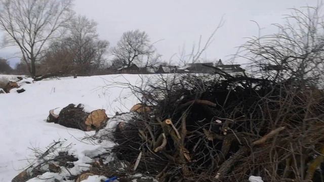 Очистка русла реки от поросли вербы смотреть онлайн