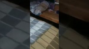 ООО РАЙЗ Условия проживания на участке в  балках !!!