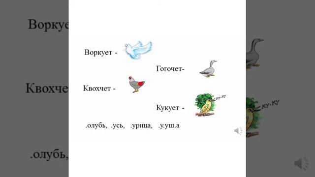 Дифференциация К. Г.