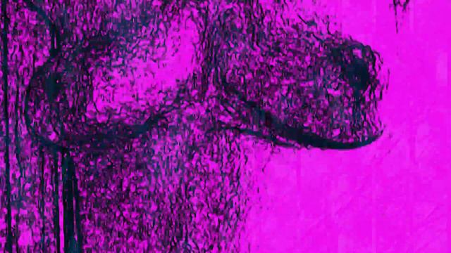 группа MR.БЭНИШ - Крик совы смотреть онлайн