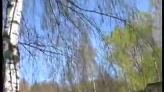 Russia: birds in city (птицы в городе) смотреть онлайн