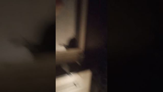 5 ночей с лëшой ура я прошол 1 ночь!!!!!! ? смотреть онлайн