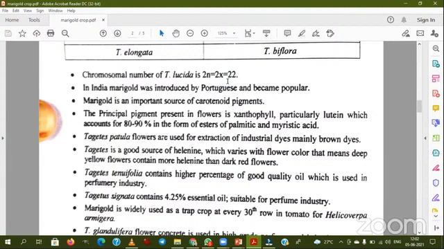 Marigold смотреть онлайн