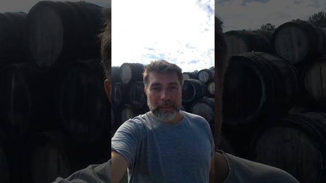 Где находится самоя большая в мире площадка созревания мадеры! смотреть онлайн