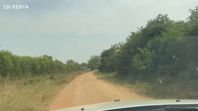 Best Trip Ever | Western Uganda Is Beautiful | Road Trip From Mombasa To Uganda | Episode 7 смотреть онлайн
