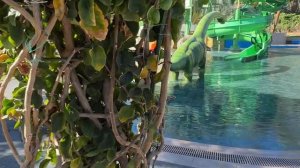 NG PHASELIS BAY/ПЛЮСЫ И МИНУСЫ/ОБЗОР ОТЕЛЯ