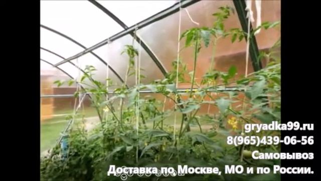 Теплица из поликарбоната от Грядка99 смотреть онлайн