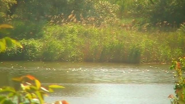 ЧТО НУЖНО ЗНАТЬ, ЧТОБЫ НЕ ДАТЬ РАЗРУШИТЬ ТВОЮ ЖИЗНЬ 27.05.2017