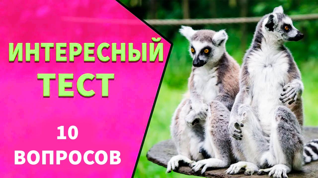 Проверьте Ваши знания 🤗 Тесты на эрудицию №12 смотреть онлайн