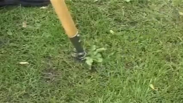 Корнеудалитель " Штопор" DeWit смотреть онлайн