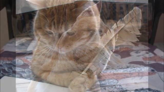 Я московский озорной гуляка смотреть онлайн