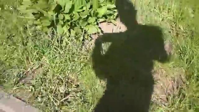 Лучший в мире газон))) смотреть онлайн