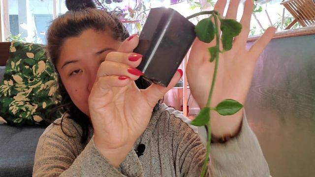 First Plant Unboxing of 2021 смотреть онлайн